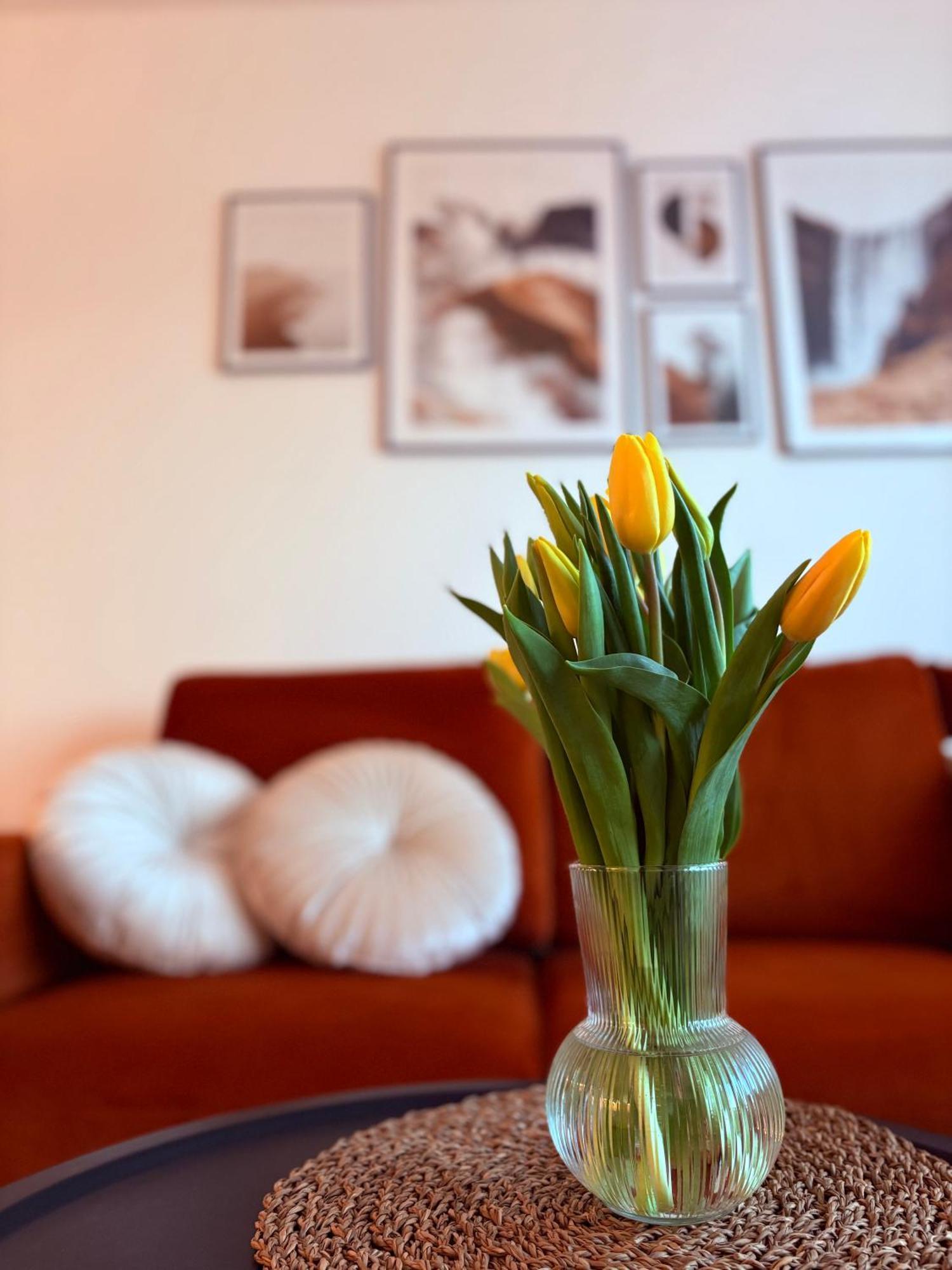 Apartamento Nowy Biezanow Cracovia